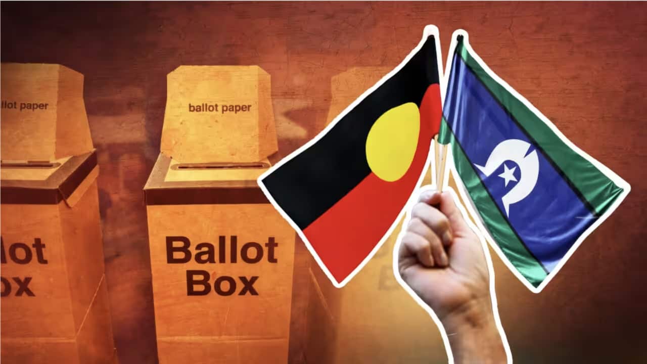 Referendum_SBS News Source.png