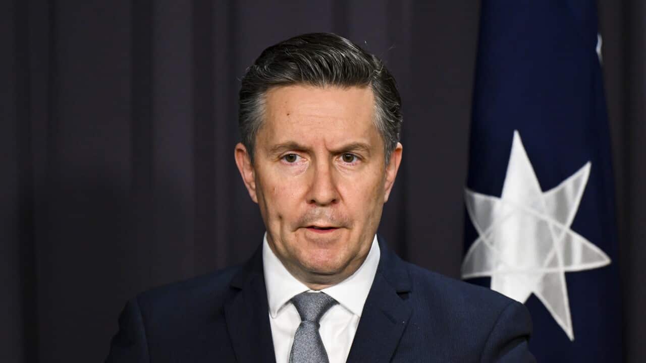 Health minister Mark Butler at a press conference.