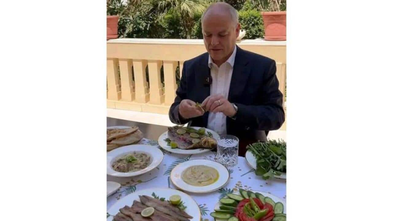 Australian Ambassador in cairo