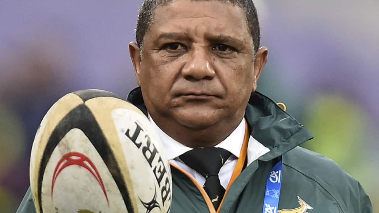 South Africa's coach Allister Coetzee