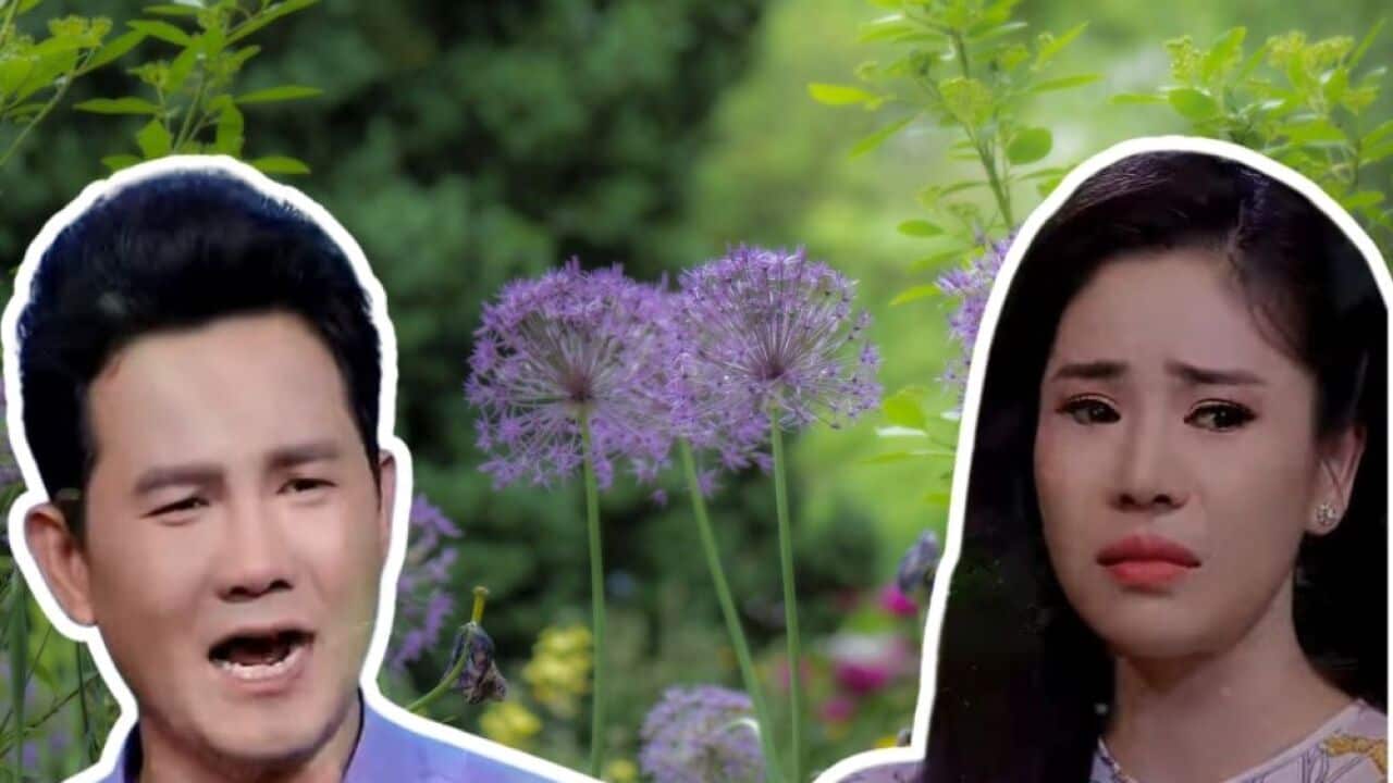 Mỹ Tiên Thế Tâm ảnh chỉnh.jpg