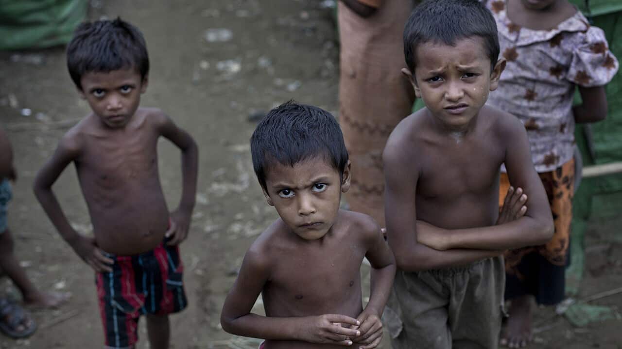 Rohingya