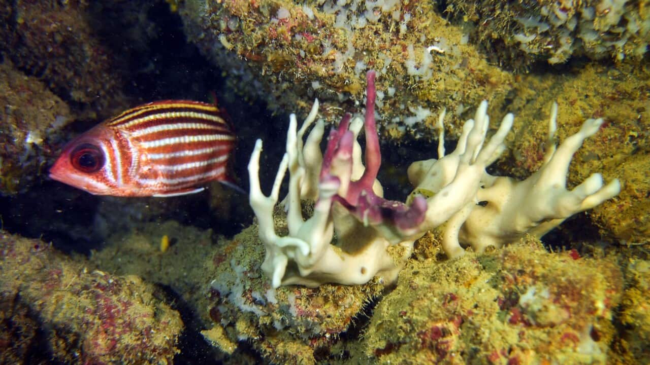 Image for read more article 'READ MORE'