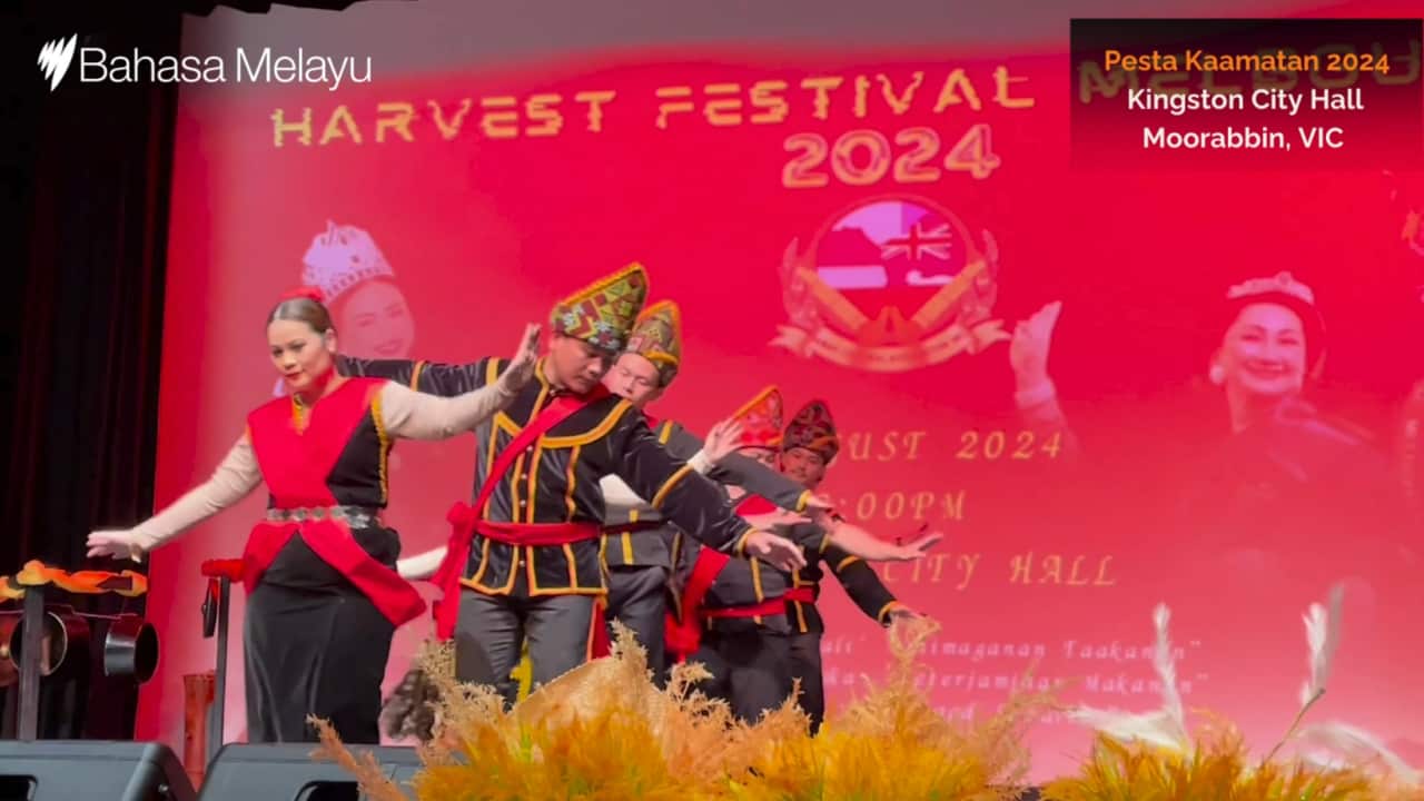 Image for read more article 'READ MORE'