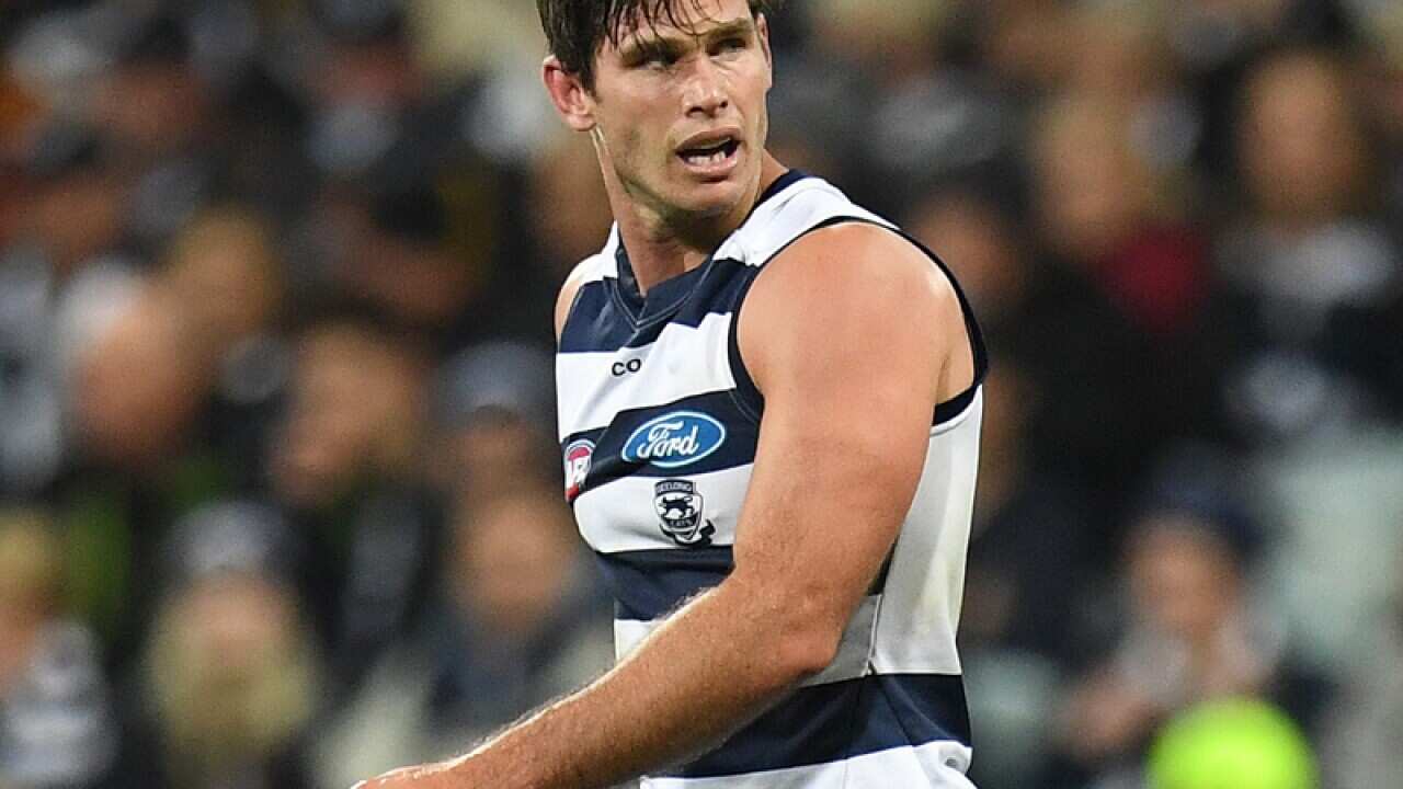 Tom Hawkins of the Cats