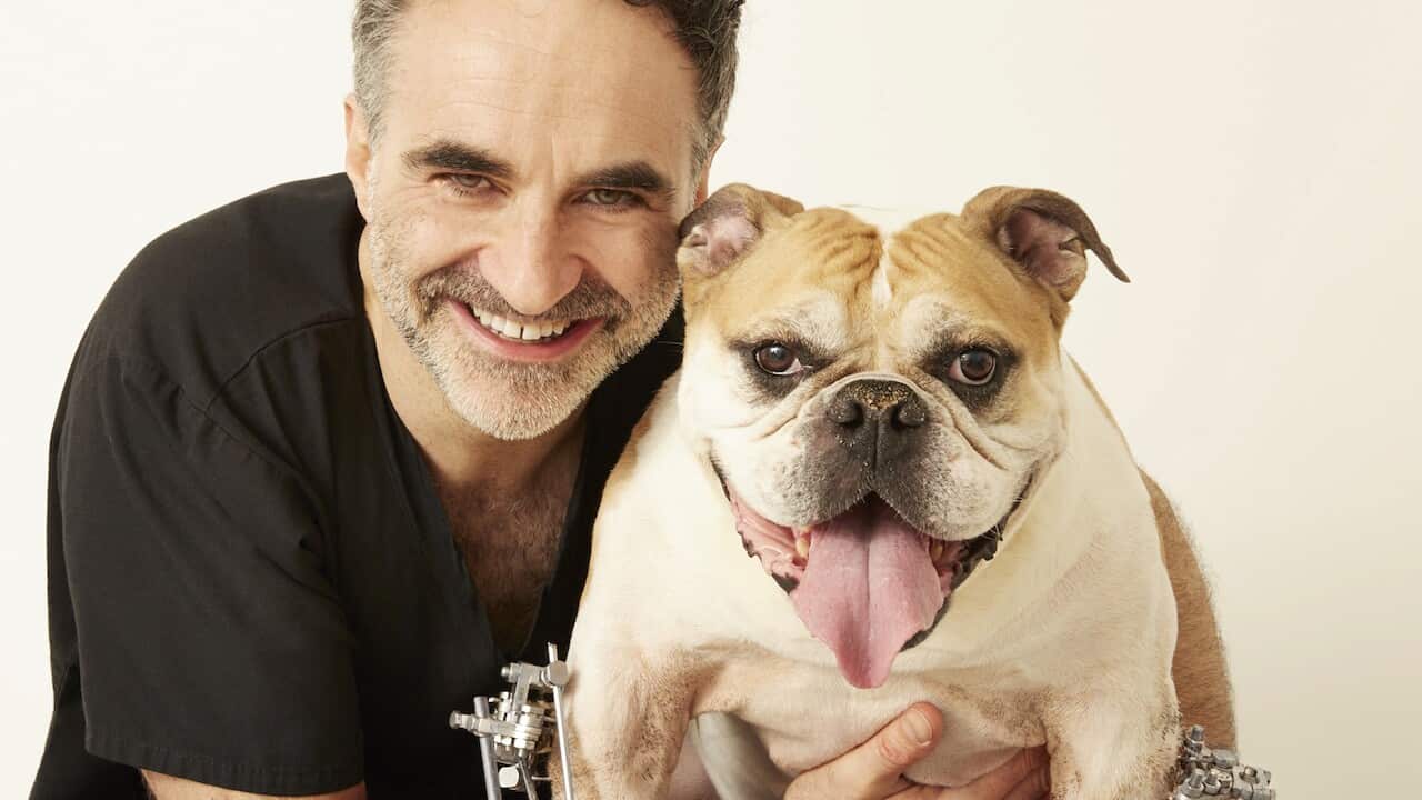 The Supervet, Noel Fitzpatrick