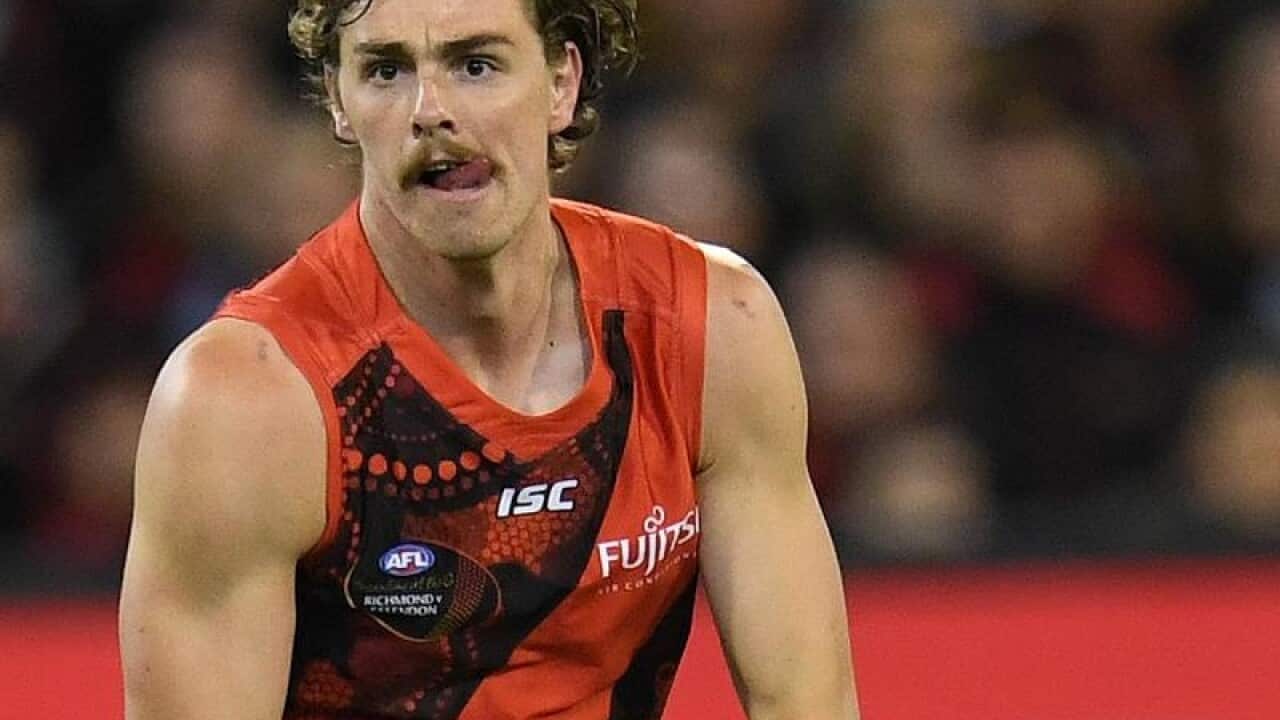 Joe Daniher