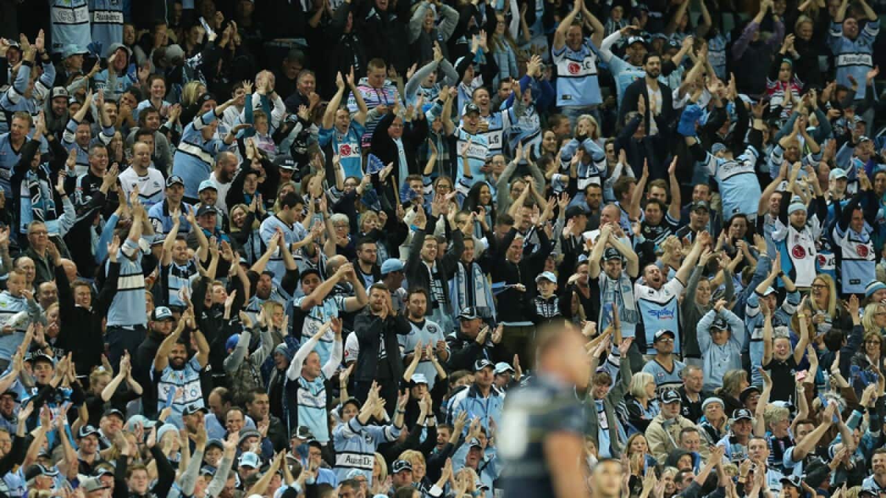 Cronulla Sutherland Sharks fans celebrate