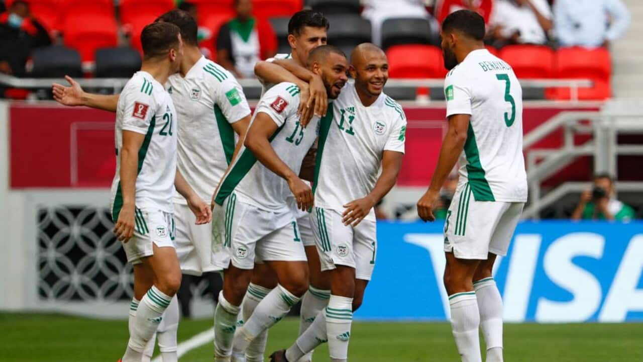 Hillal Soudani celebrates a goal with his Algeria teammates