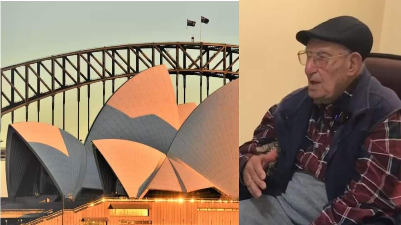 deryawish sydney.jpg