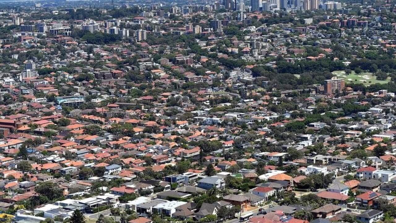 An aerial image shows properties in Rose Bay