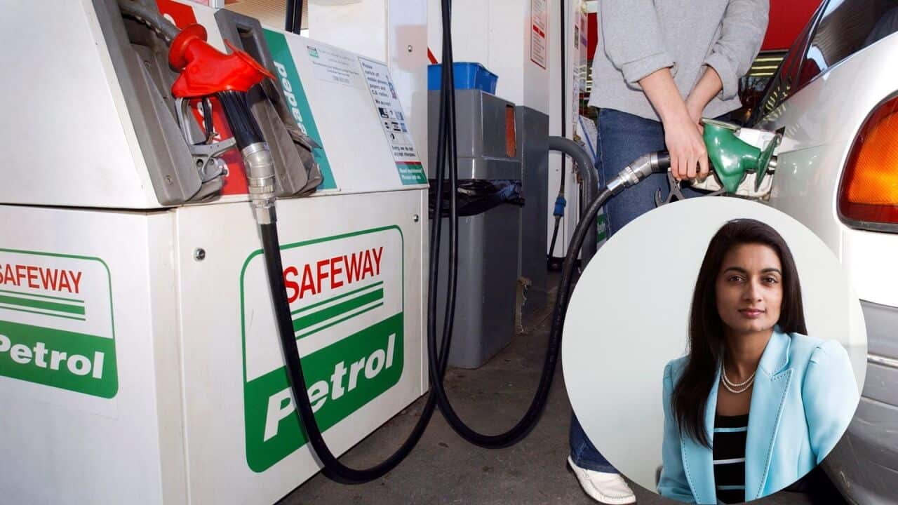 Copy of Copy of Copy of Copy of GOld.jpg