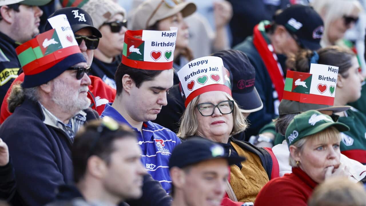 NRL RABBITOHS KNIGHTS