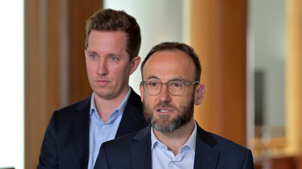 ADAM BANDT GREENS PRESSER