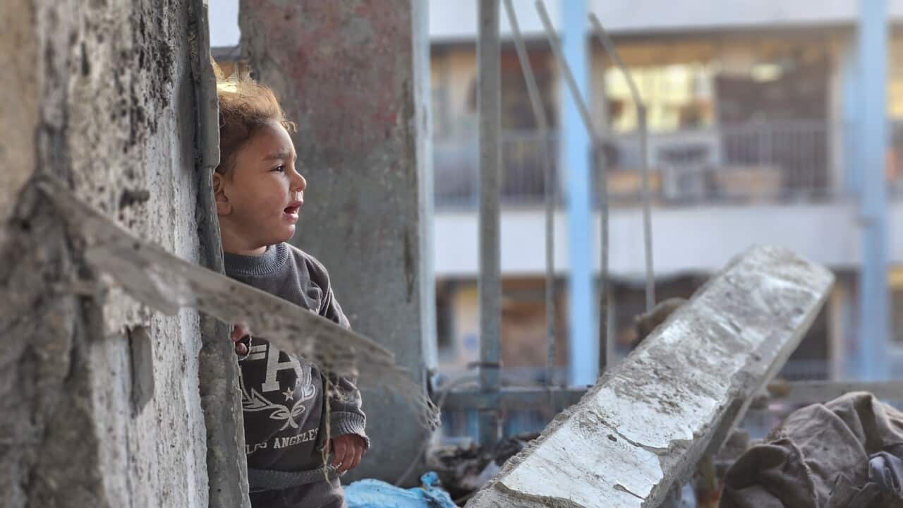 Children among 15 Palestinians killed in Israeli attack on southern Gaza shelter