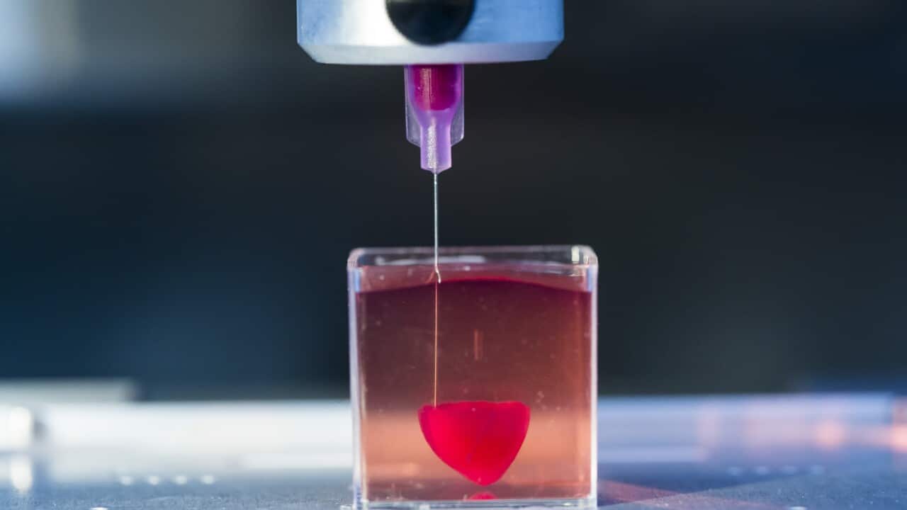 Presentation Of A 3D Live Heart Printed From Human Tissue At TA University