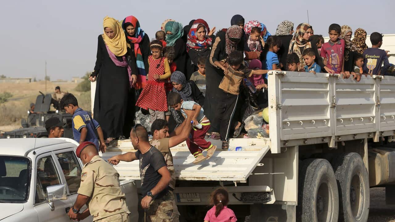 Iraq, Fallujah, June