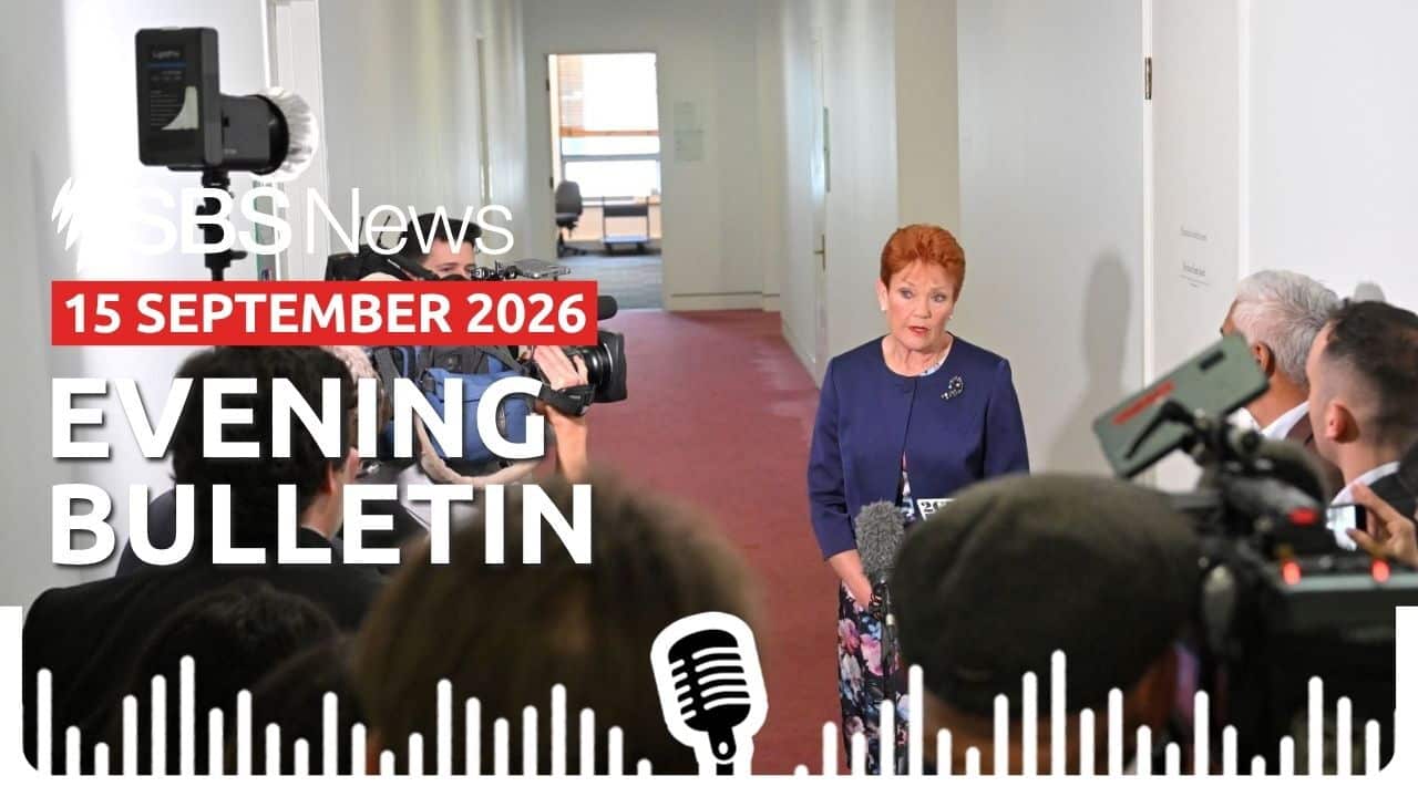 Evening News Bulletin image 15 September 2026.jpg