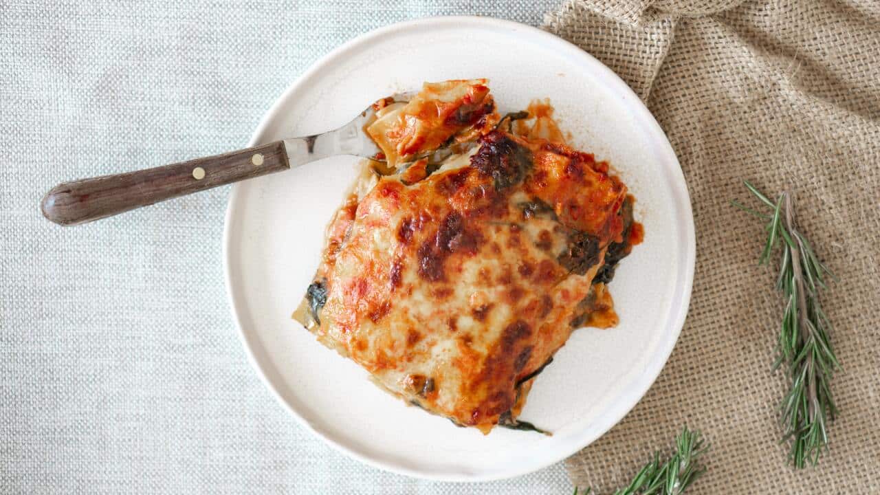 lasagne
