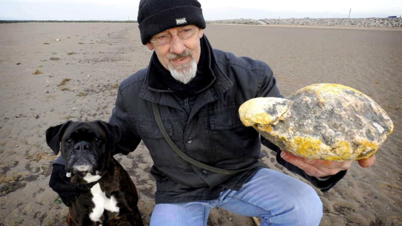 whale_vomit_UK_130201_B_aap_1693731080
