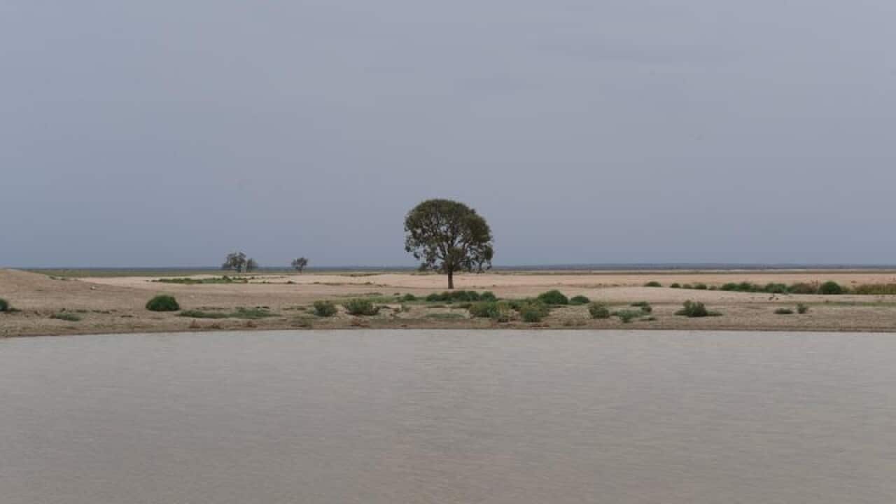 The Murray-Darling River.
