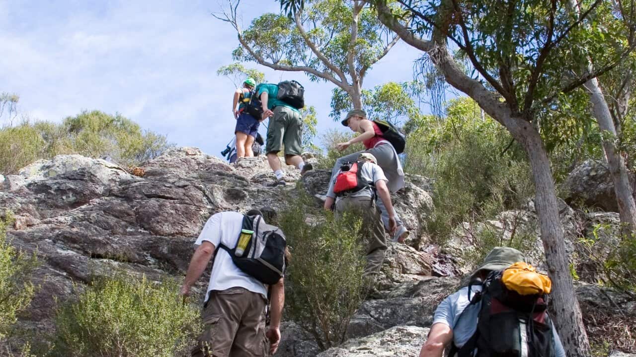 Group climbing hill as part of bushwalking