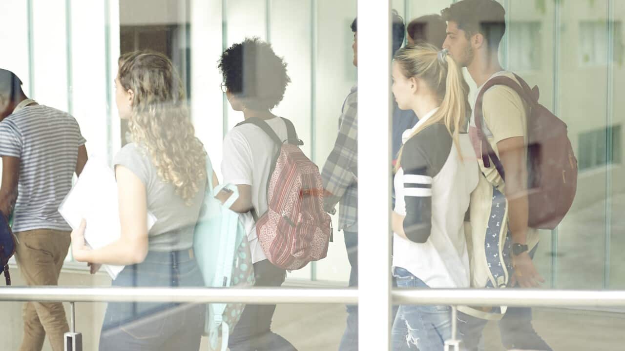 Image for read more article 'READ MORE'