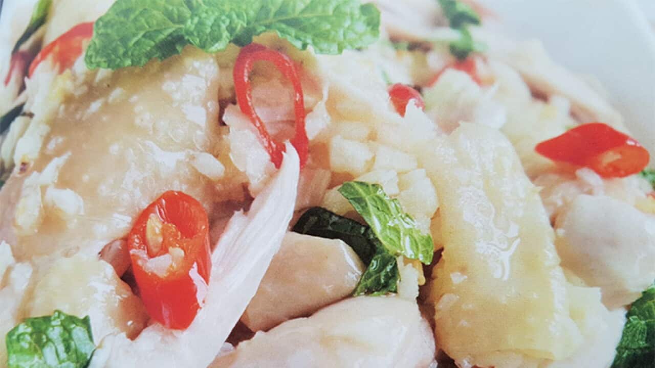 Shredded Chicken in Mint Sauce