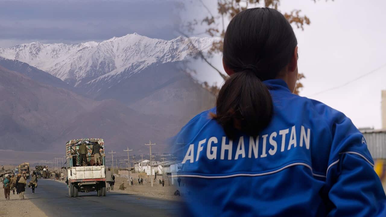 A person wearing a blue jacket.