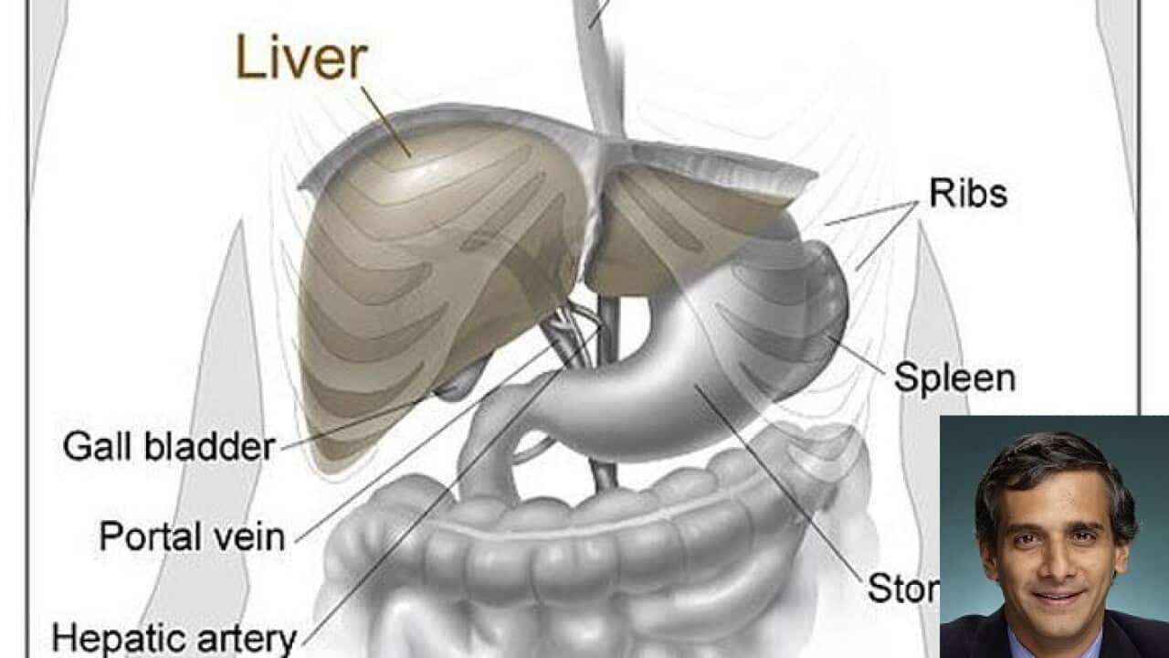 Fatty Liver