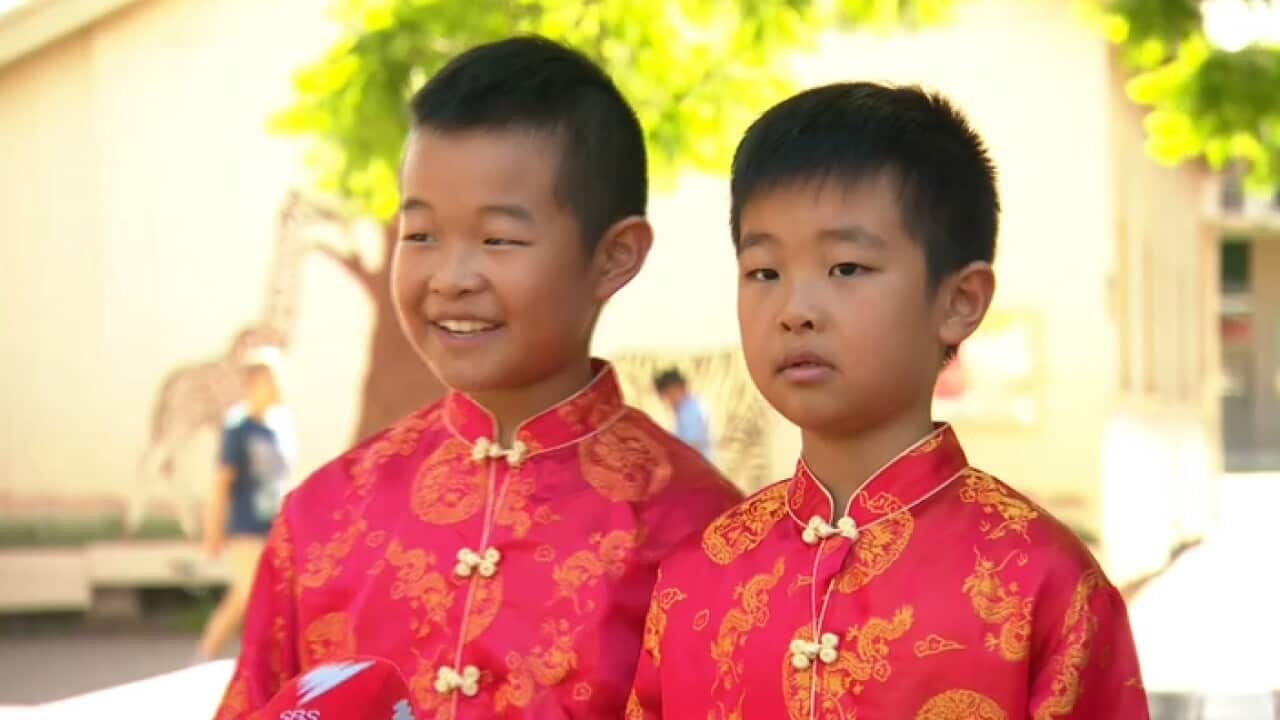 Mandarin students Nathan and Ethan Neoh