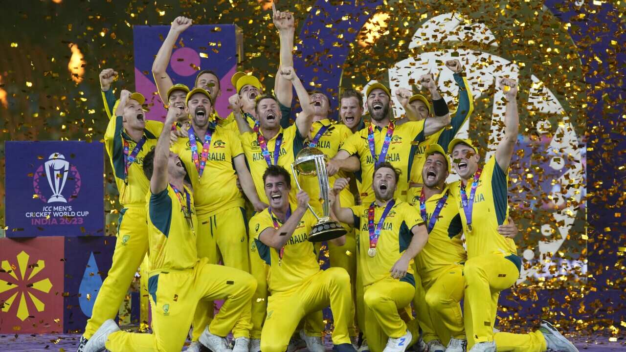 India Cricket WCup
