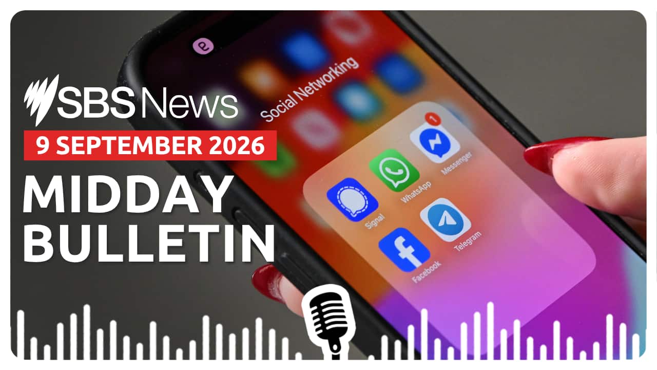 MIDDAY BULLETIN (3).png