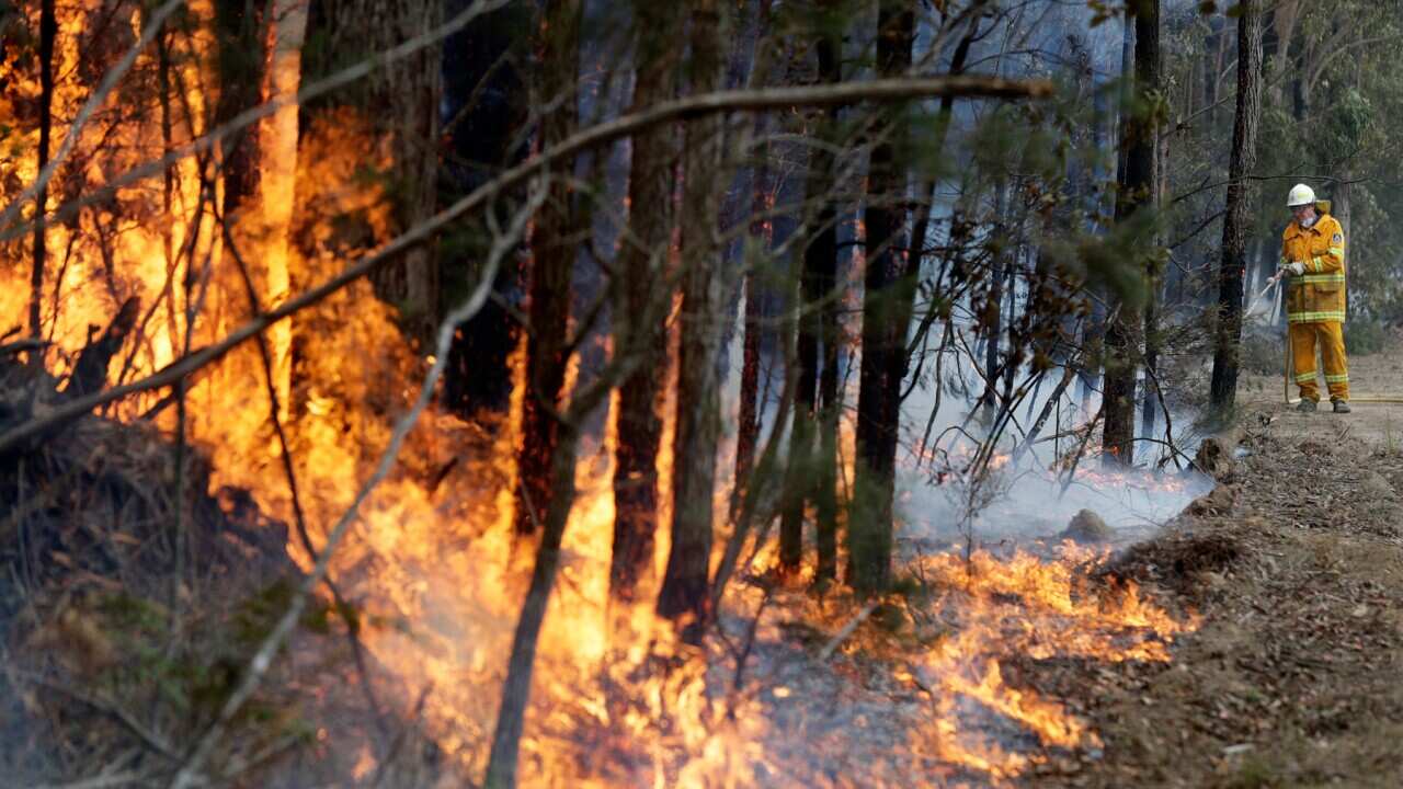 Australia bushfire