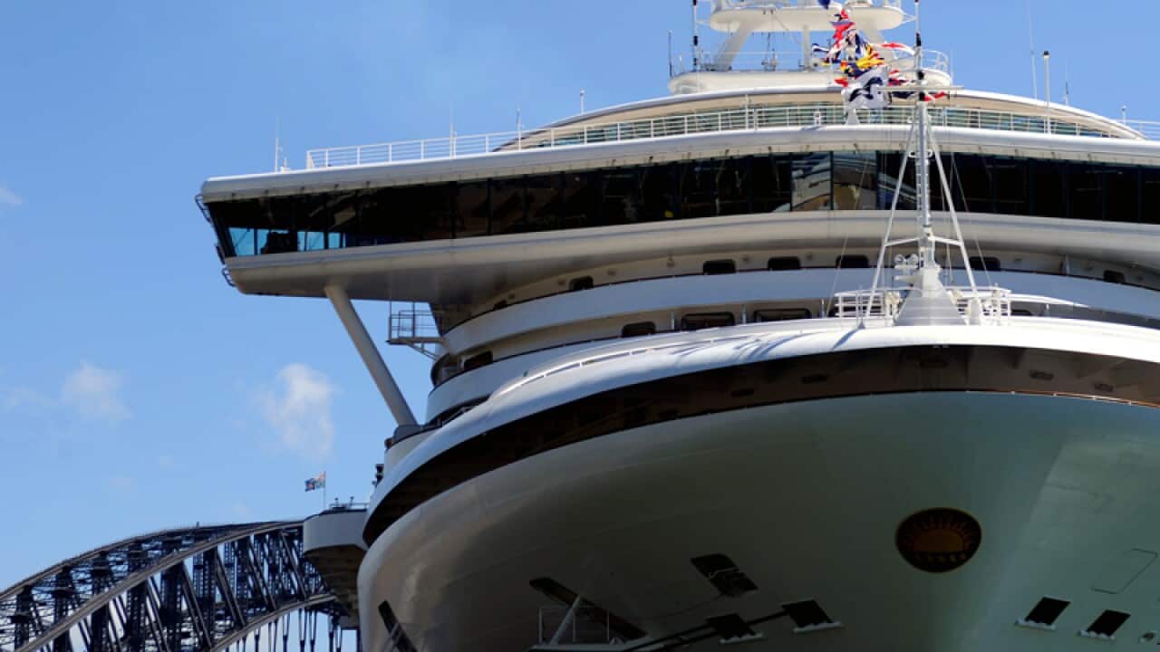 The Diamond Princess sits docked in Circular Quay in Sydney