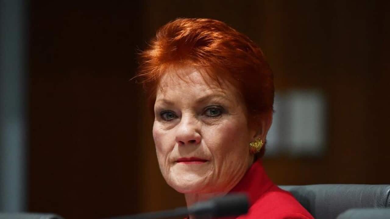 One Nation leader Senator Pauline Hanson