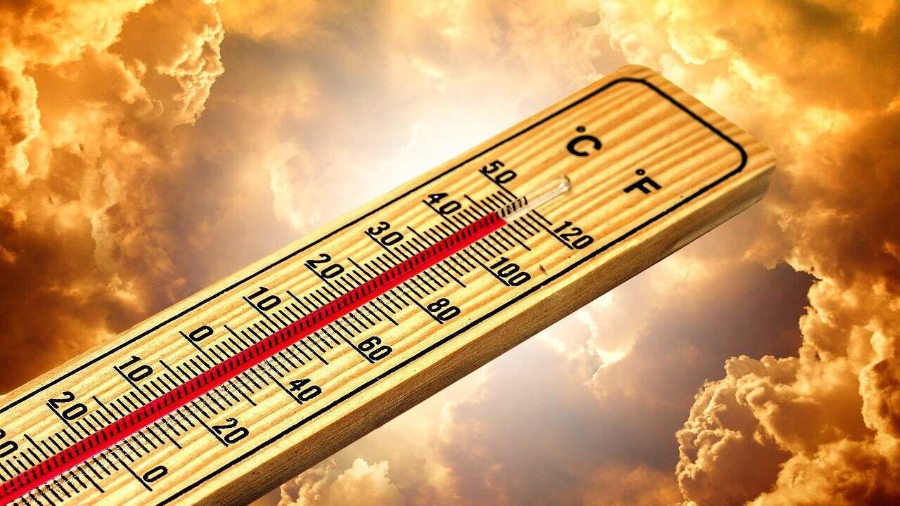 thermometer-4767445_1280.jpg