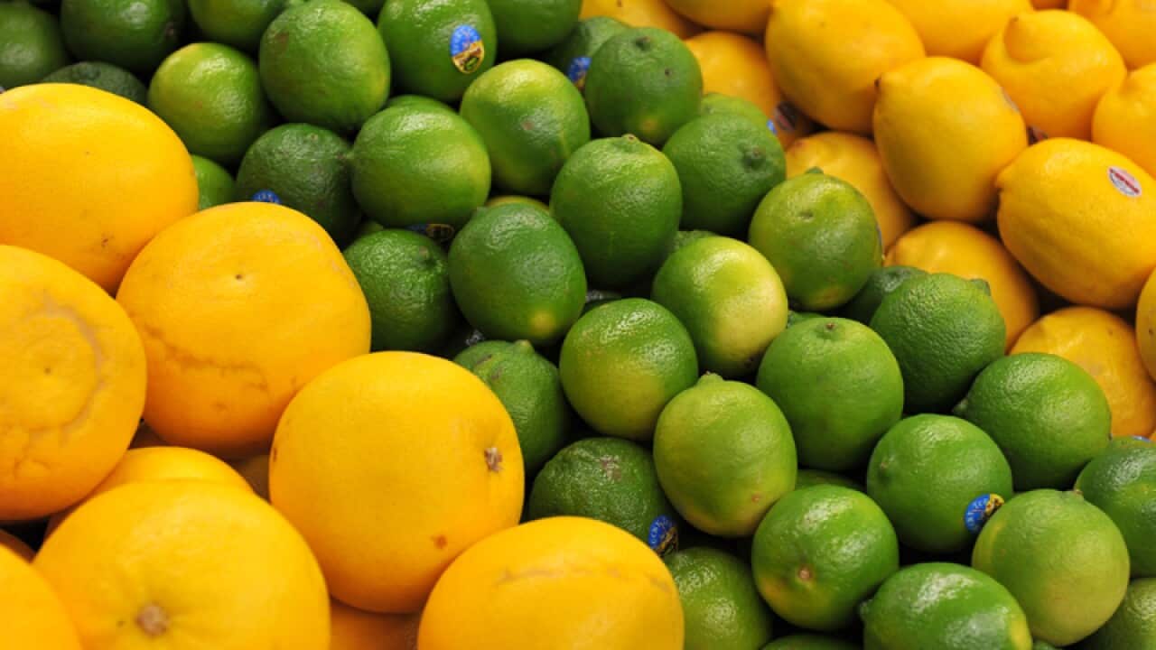 Grapefruits, limes and lemons sit on a stall in a fruit store