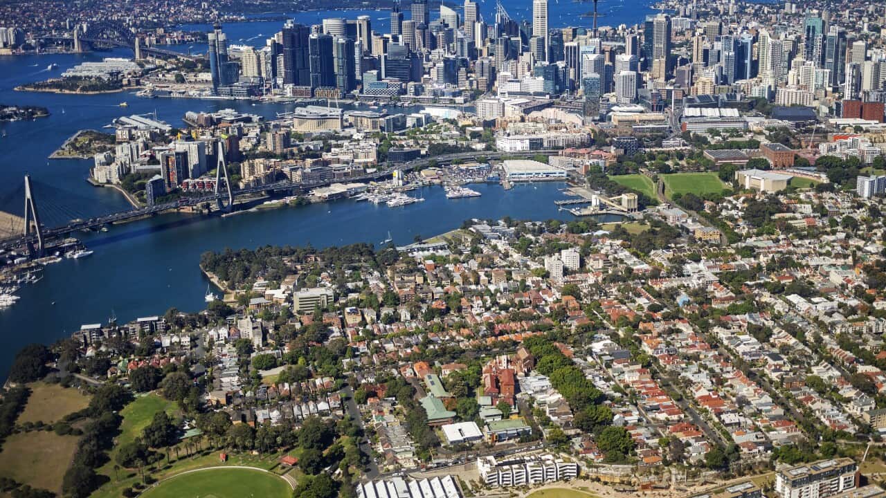Sydney city skyline with inner suburbs of Glebe and Pyrmont.