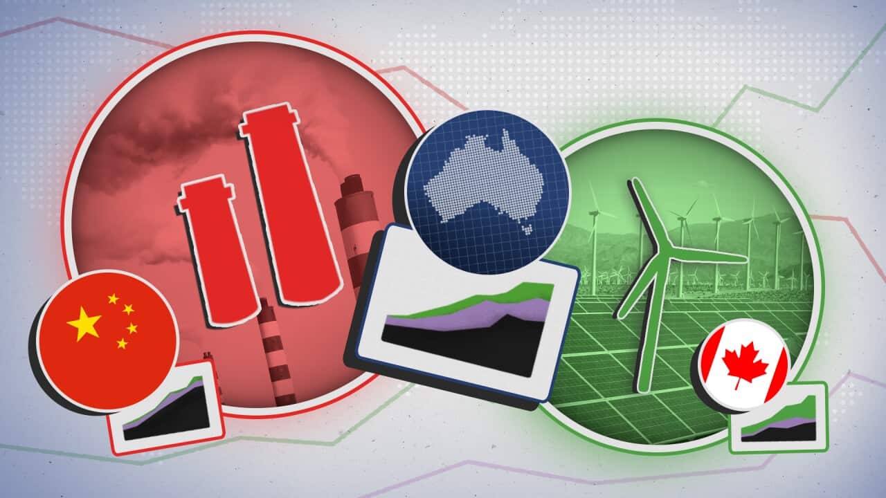 SBS News