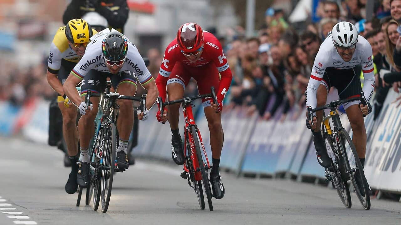 Gent-Wevelgem, Peter Sagan, Tinkoff