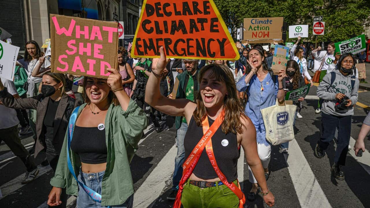 Climate activists march during a rally organised by Youth climate awareness group Fridays for Future to declare a climate justice emergency in New York city on 23 September 2022.