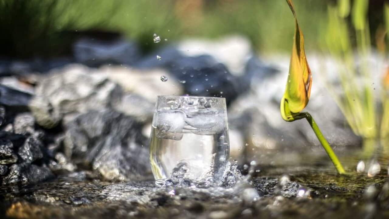 Water glass