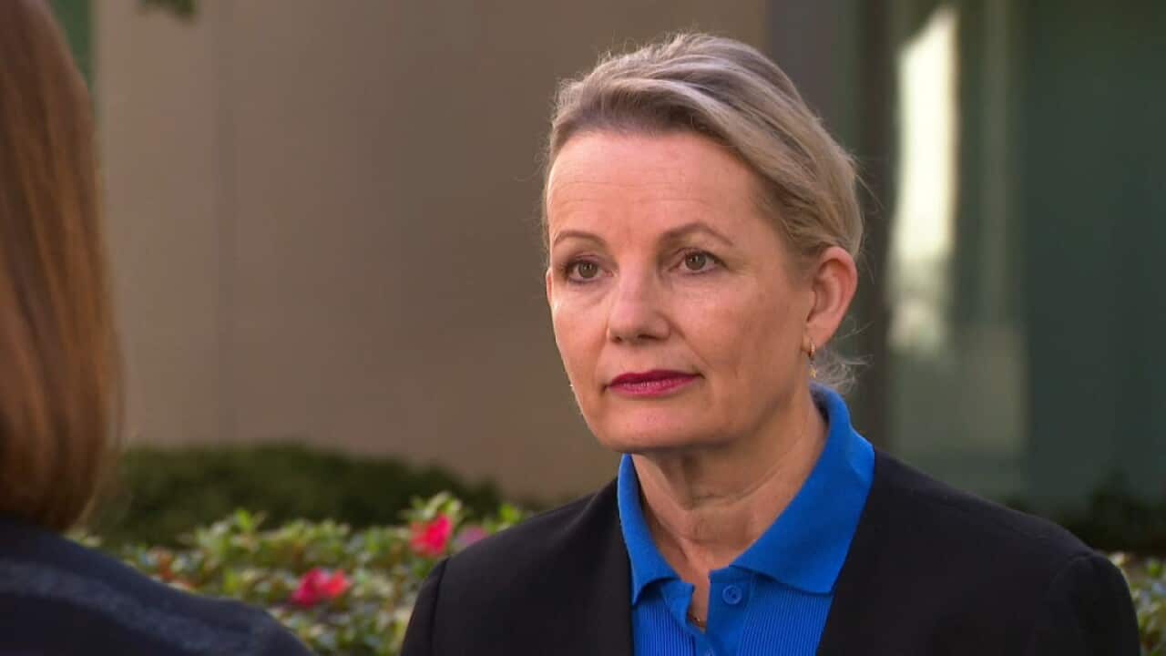 Deputy Opposition Leader Sussan Ley at Federal Parliament Canberra - SBS News.jpg