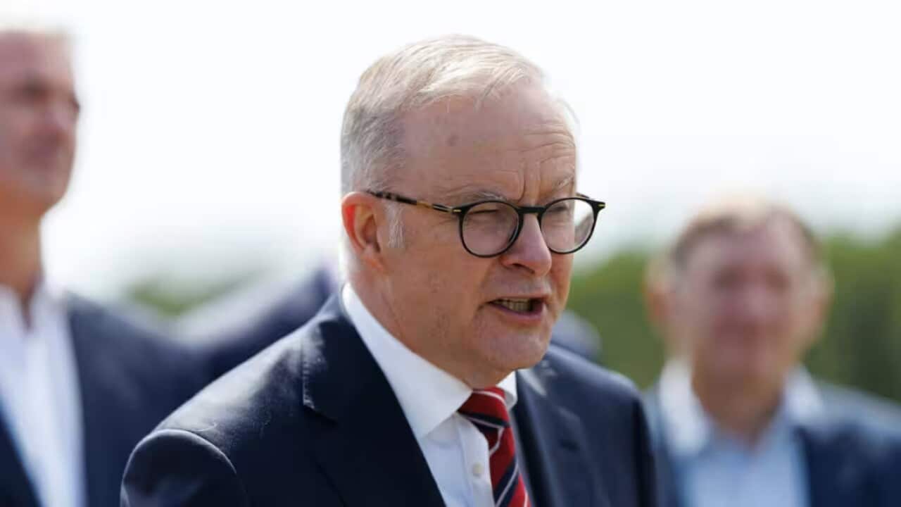 Anthony Albanese has congratulated Donald Trump Source: AAP / PAUL BRAVEN