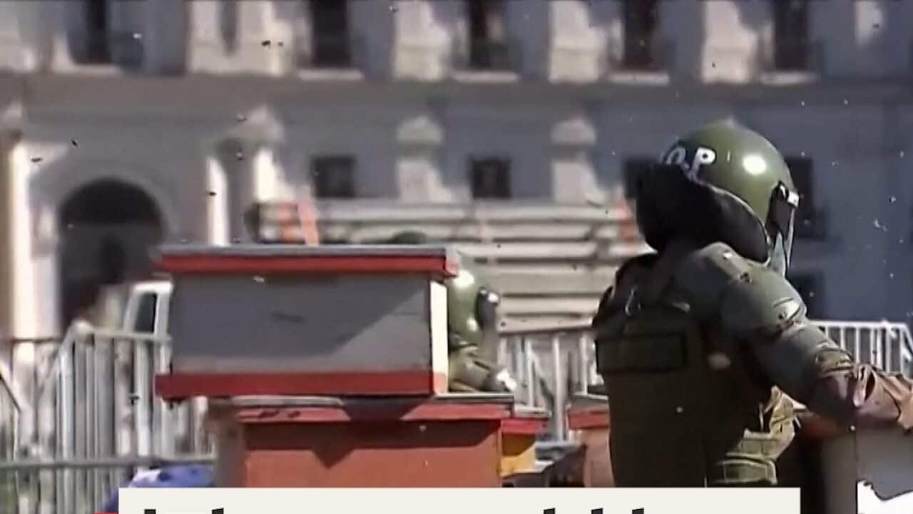 Image for read more article ''