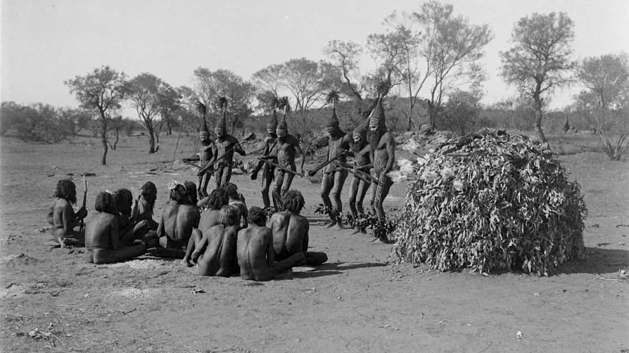 Arrernte Tjitjingalla corroboree dances
