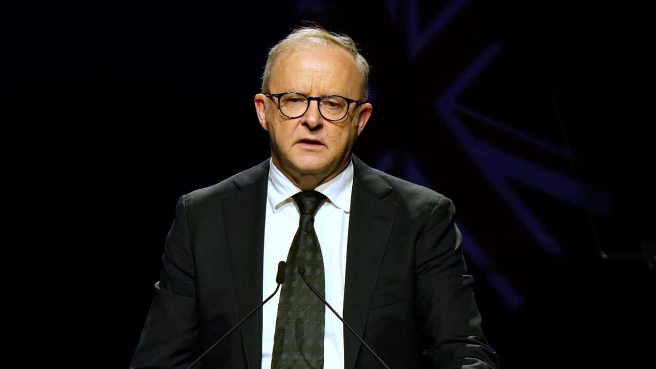 Anthony Albanese standing at a podium with an Australian flag in the background.