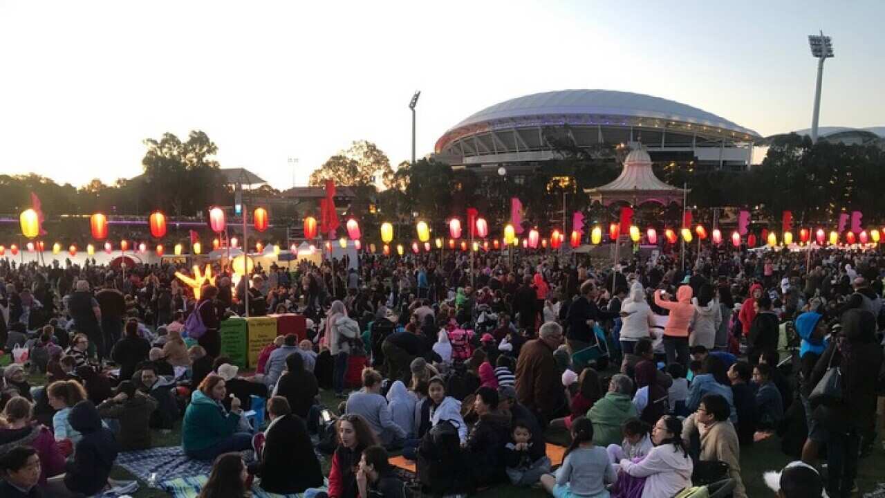 Lanterns in Adelaide