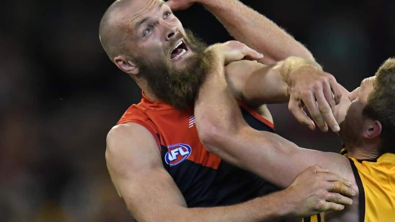 Max Gawn of the Demons